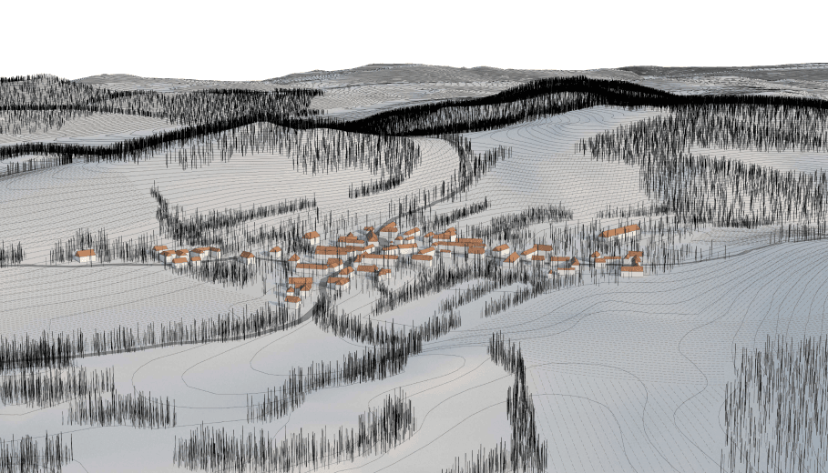 1) KOMPAKTNÍ VESNICE S NÁVSÍ V NÍŽINNÝCH OBLASTECH